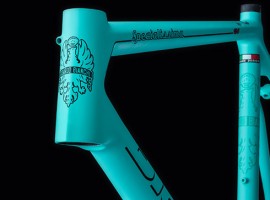 Bianchi-Specialissima-MV-73.jpg