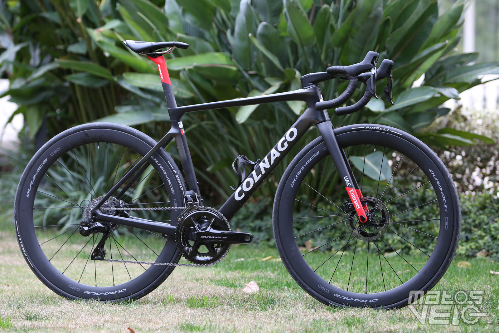 Colnago bike price in peso cheap