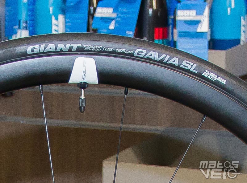Giant gavia slr tubeless discount