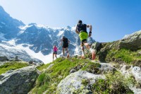 Trail runners running up a steep trail in the Alps in summer