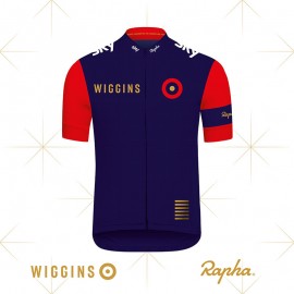 Wiggins_Press_Release_Image.jpg