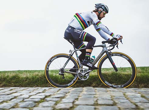 Tout le monde peut se la jouer Sagan Superstar avec Specialized Matos velo actualites velo de route gravel et tests de materiel cyclisme