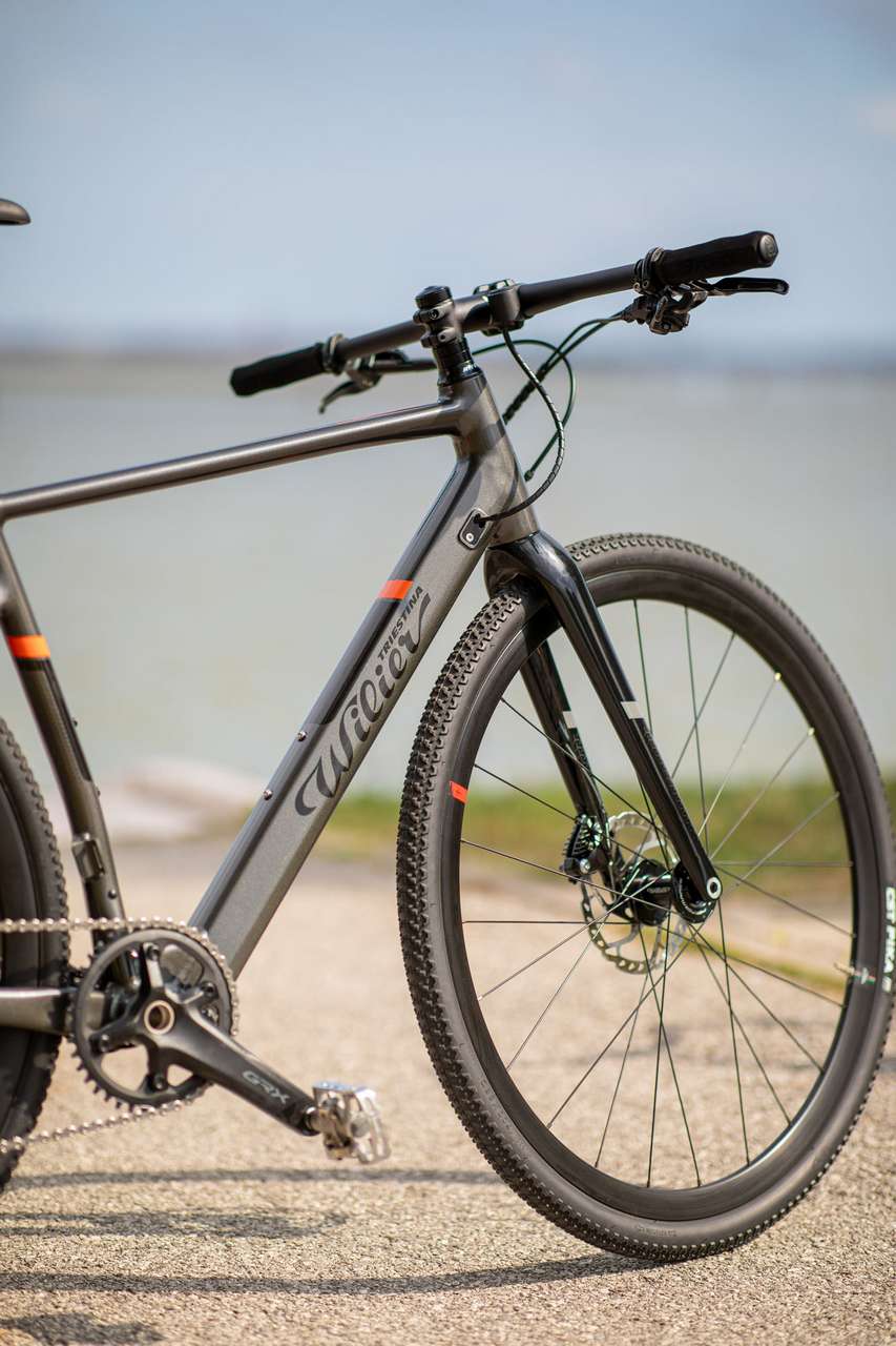 Triestina Hybrid le v lo assistance lectrique tout faire de