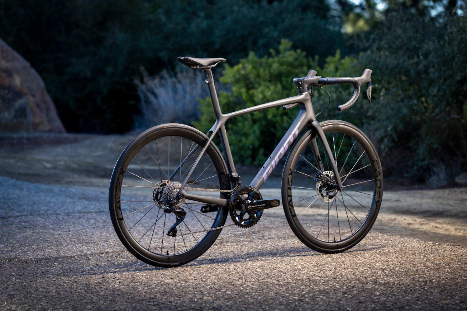 Kit cadre giant deals tcr advanced sl 2019