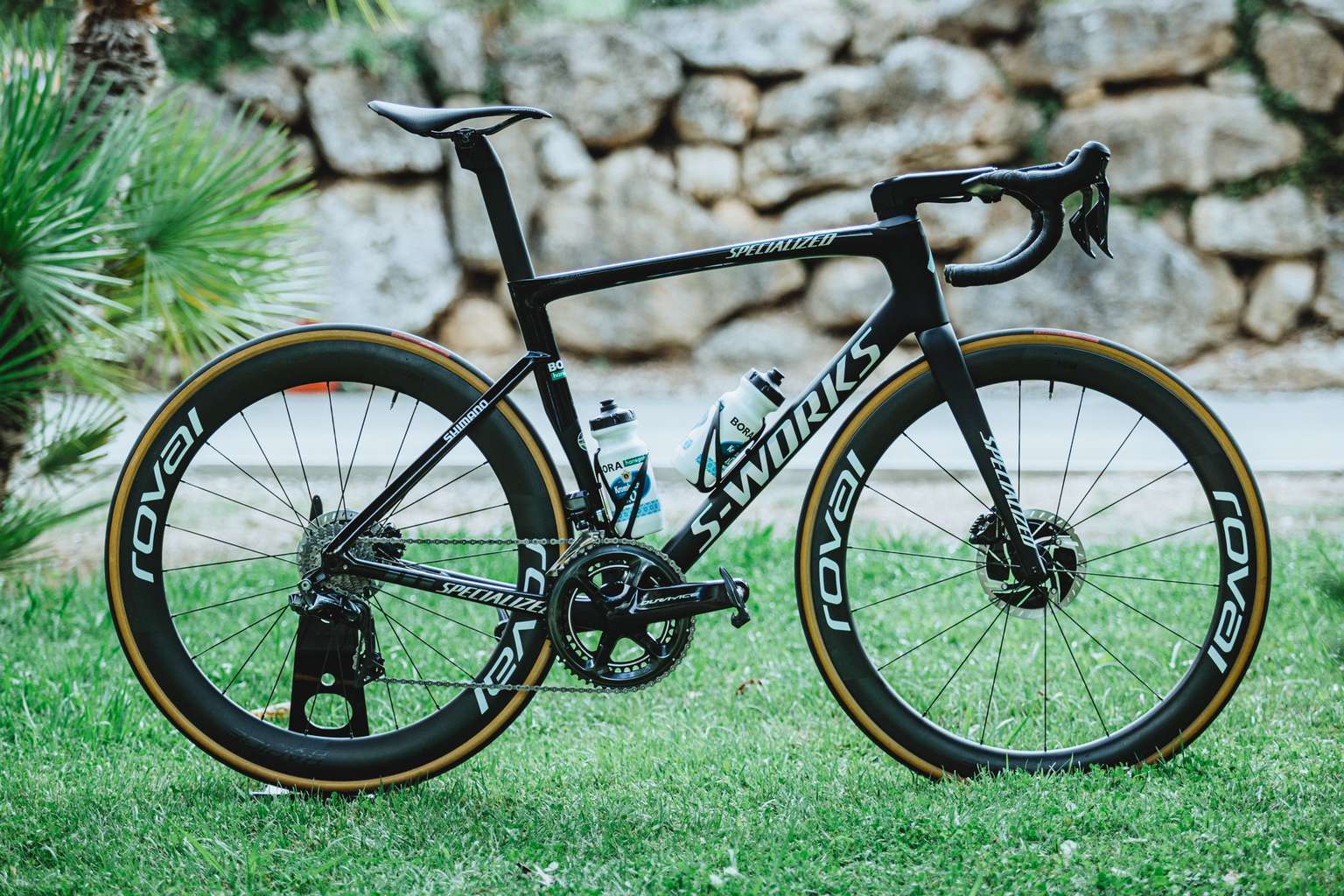 Velo peter top sagan 2020