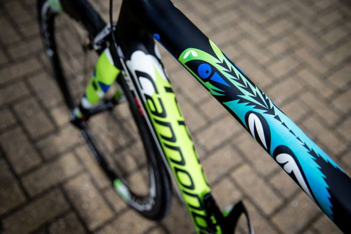 Cannondale-TDF2014-zoom.jpg