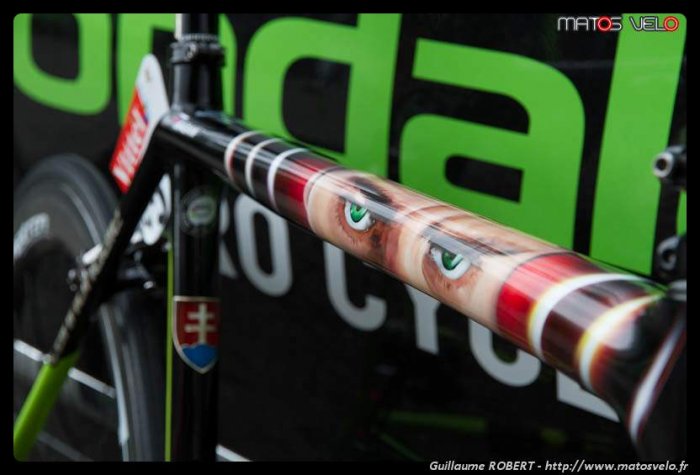 Peter-Sagan-TDF2014-005.jpg