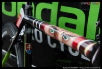 Peter-Sagan-TDF2014-005.jpg