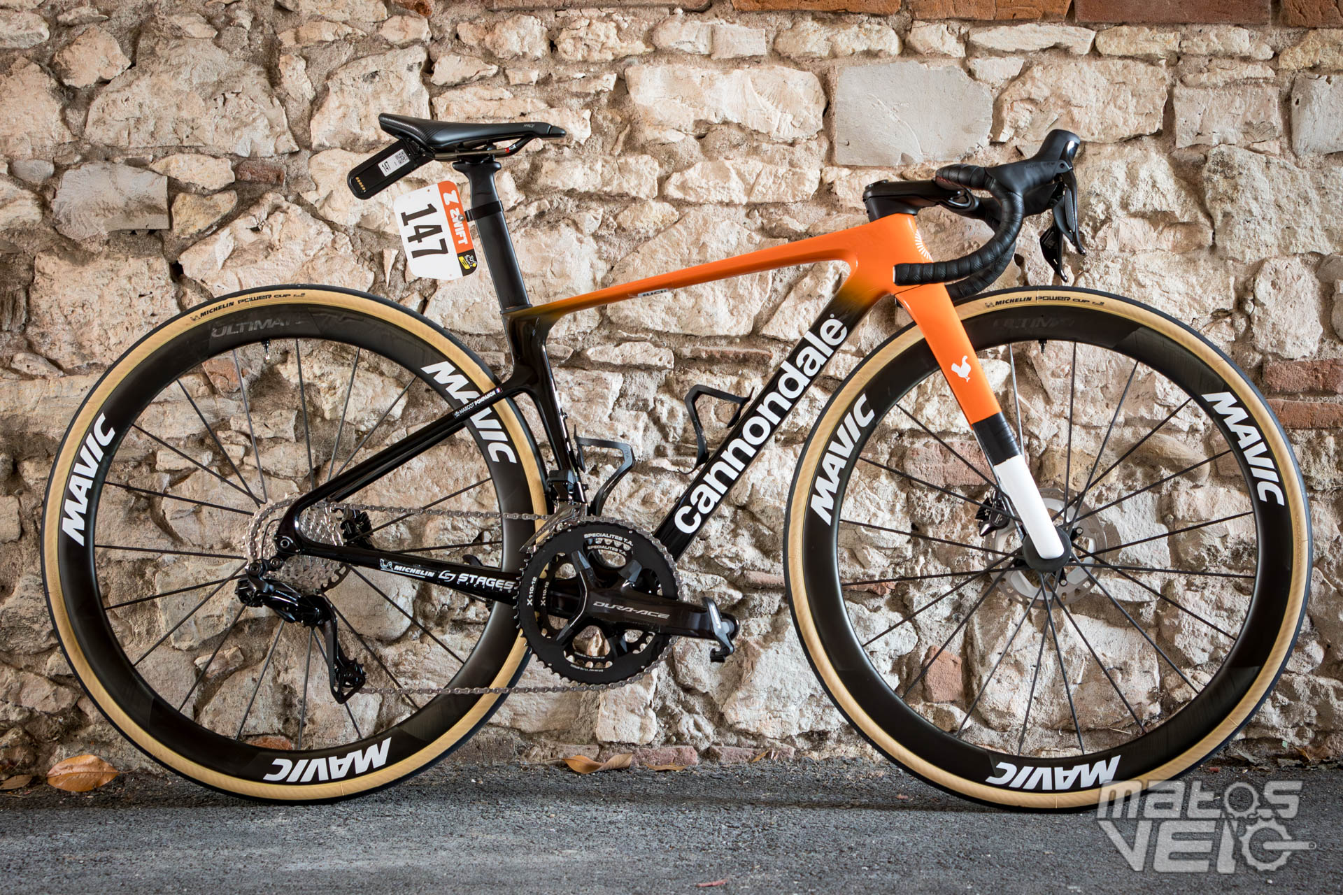 cannondale mavic