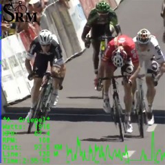 Suffervision-Greipel-Etape6-TDU2014-detail.jpg