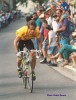 Greg-Lemond.jpg