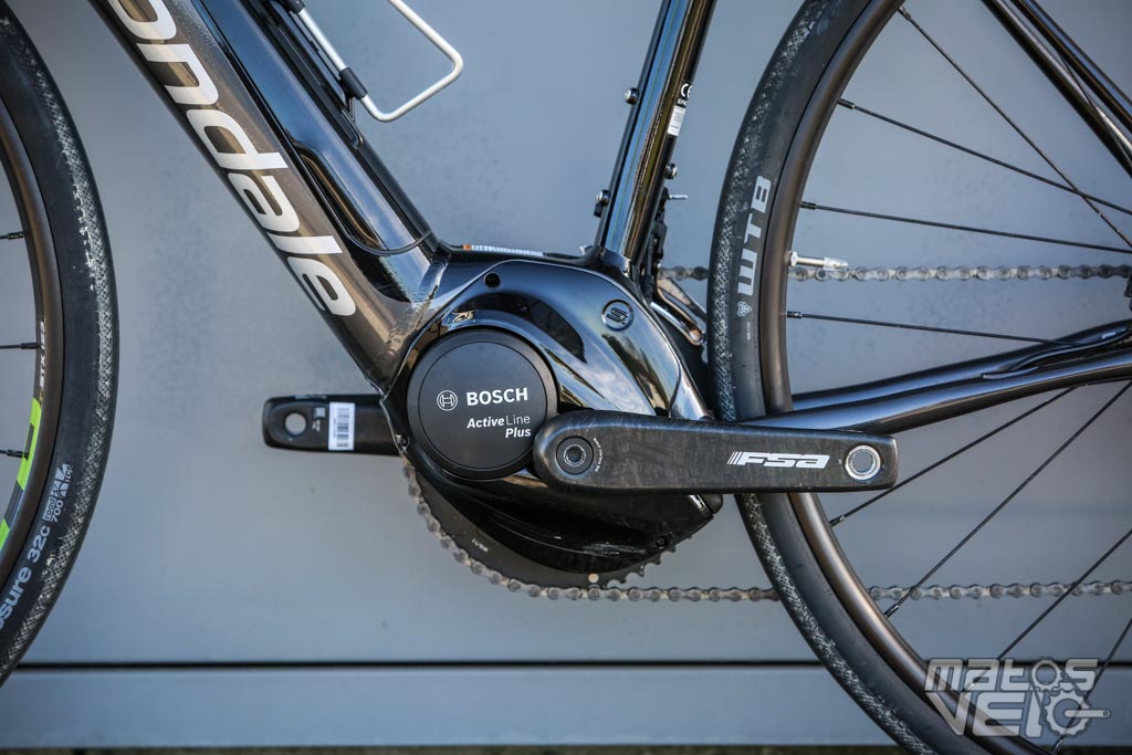 Synapse neo online 1 2019