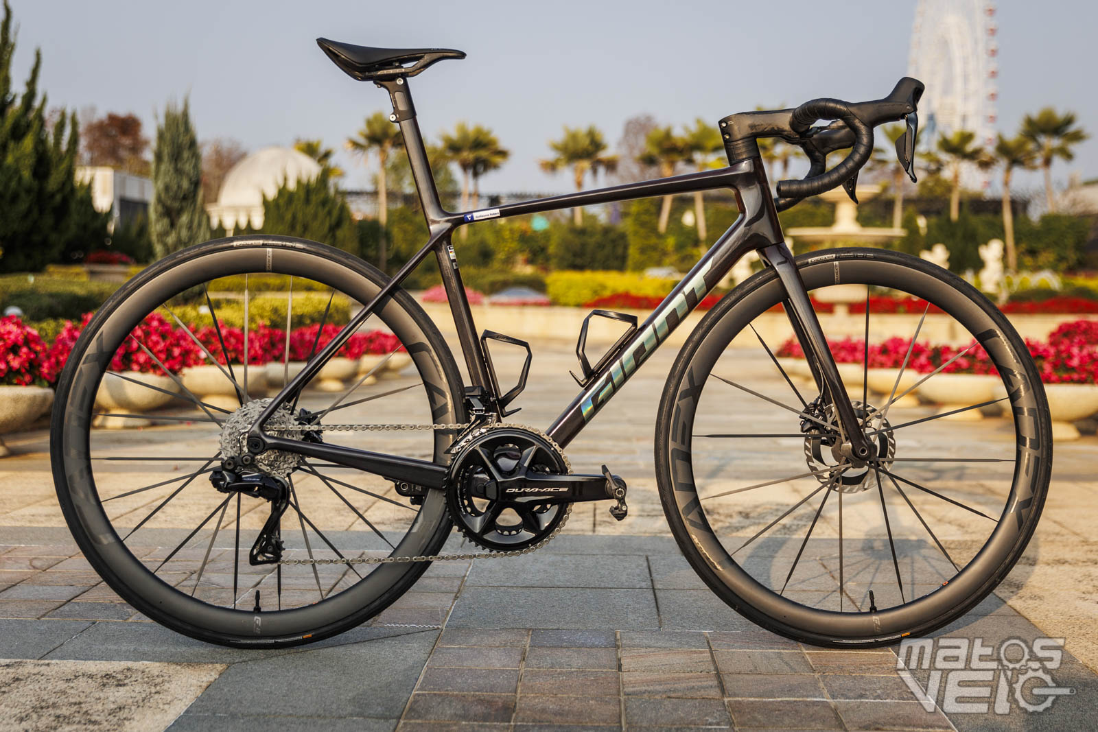 Essai giant tcr sale