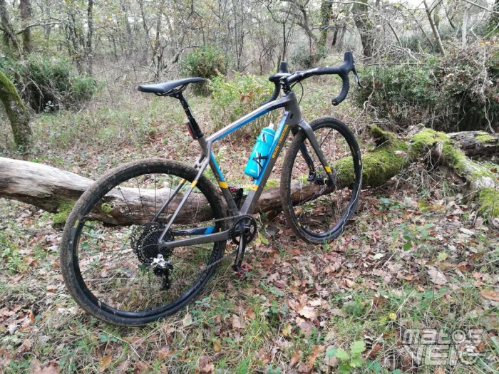 Wilier jena on sale 2020 test